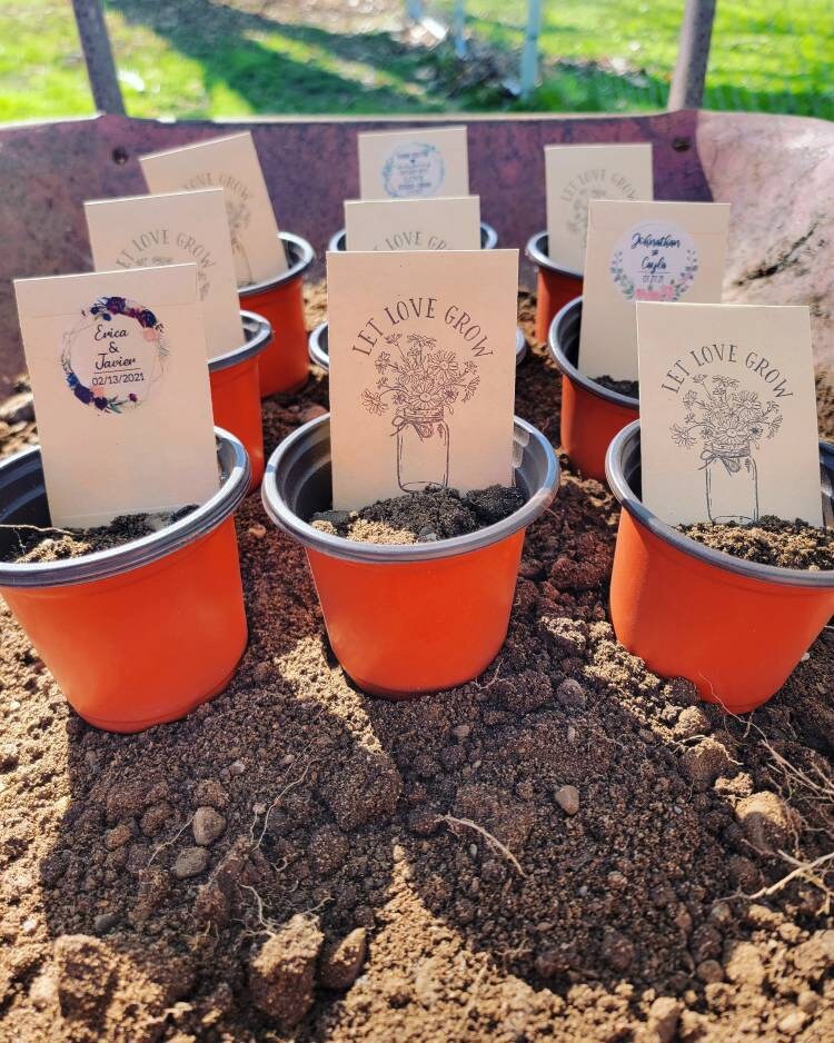 plant seeds for wedding favors Let Love Grow